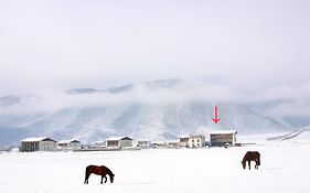 香格里拉老谢车马店国际青年旅舍  中国